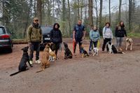 Gruppenstunden für alle Hunderassen oder Hunde aus Tierheim im dem Ausland wie Portugal, Rumänien, Spanien der Hundeschule Canis Evolution Dogtraining aus Neuried und Umgebung