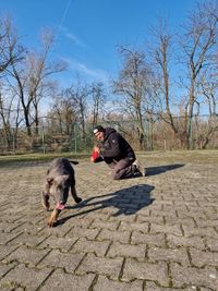 Hundetraining f&uuml;r Angsthunde Deprivationssch&auml;den, Sporthunde, Welpen, Hunde aus Tierheim im Ausland wie Portugal, Rum&auml;nien, Spanien und alle Hunderassen der Hundeschule Canis Evolution Dogtraining aus Neuried und Umgebung