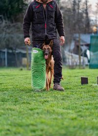 Ein Hund beim Einzel - Intensivetraining der Canis Evolution Dogtraining aus Neuried und Umgebung